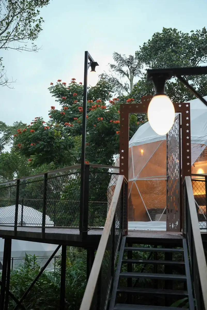 Munnar Camping vs Glamping: