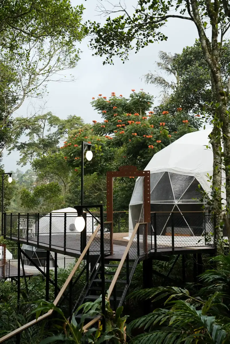 Luxury Glamping in Munnar: