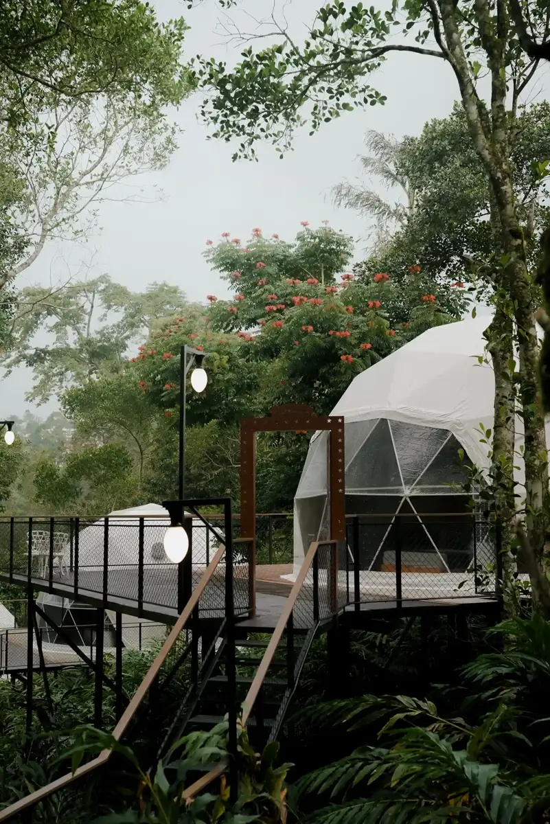 Is a Dome Stay in Munnar Good for Families?