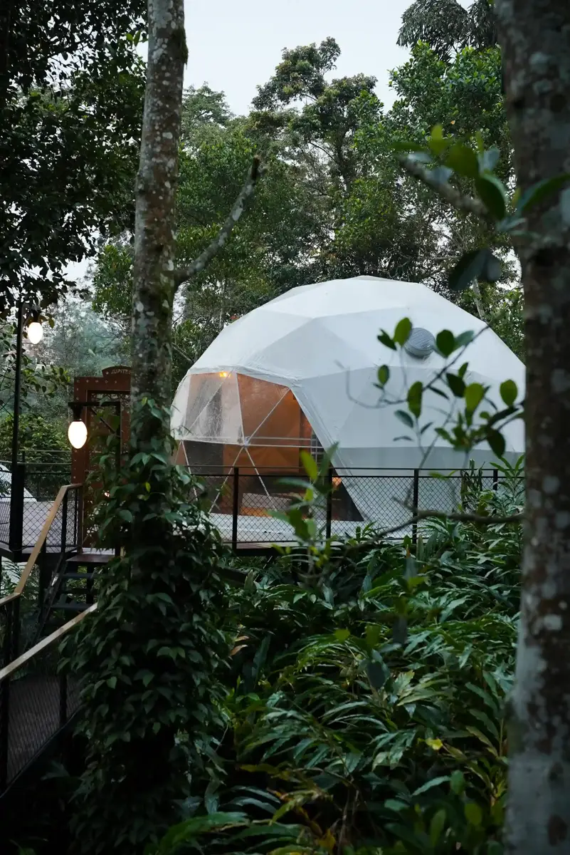 Eagle Eye Dome