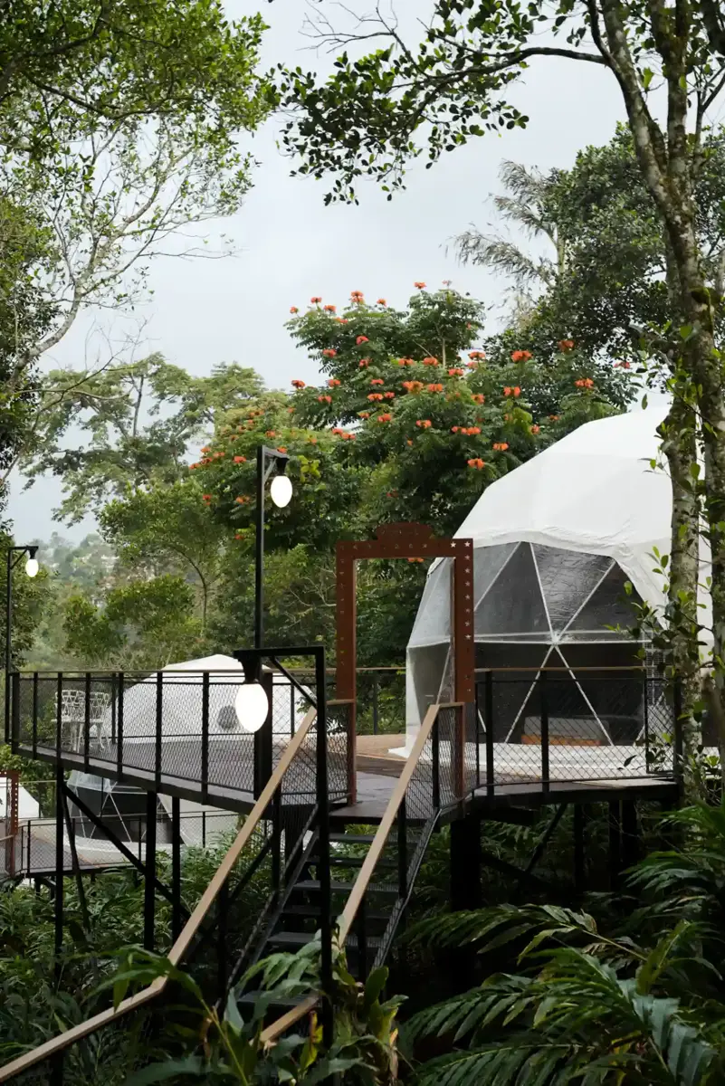 Luxury Glamp image 4