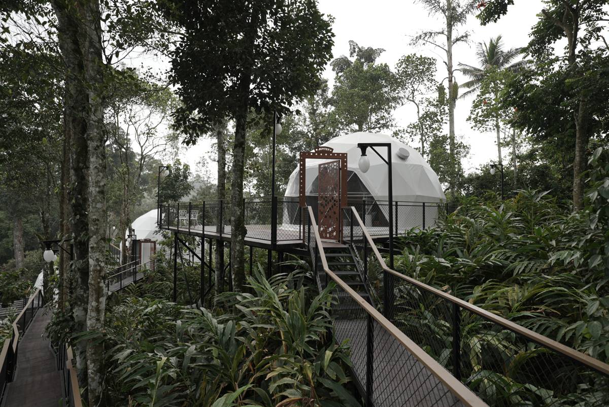 Luxury Jacuzzi Glamp Combo image 2
